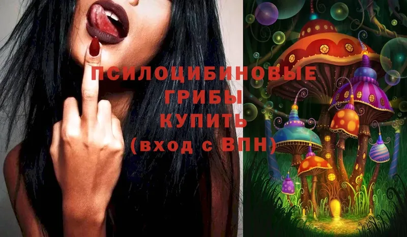 Галлюциногенные грибы Psilocybe  дарнет шоп  Омск 